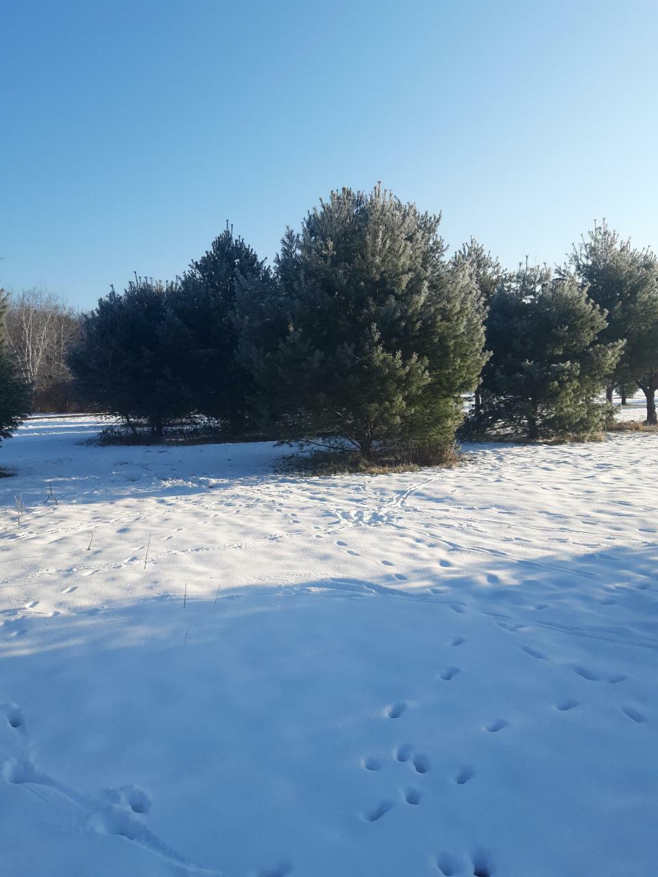 Property Photo:  Lot 3 Mercer Lake Cr S  WI 54547 