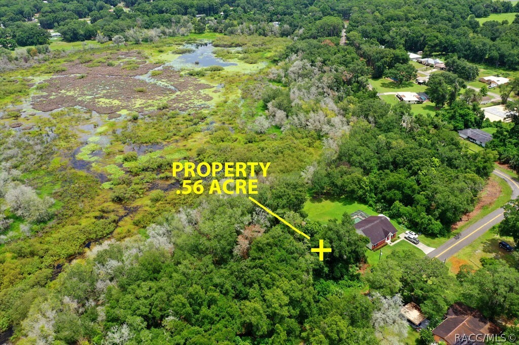 Property Photo:  4768 S Rainbow Drive  FL 34452 