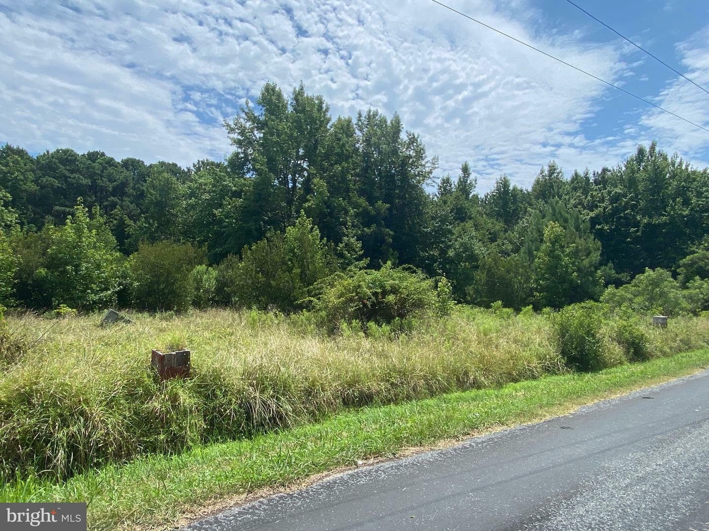 Property Photo:  10771 Toddville Road  MD 21821 