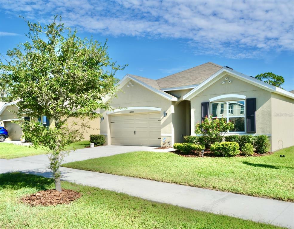 Property Photo:  12003 Myrtle Rock Drive  FL 33578 