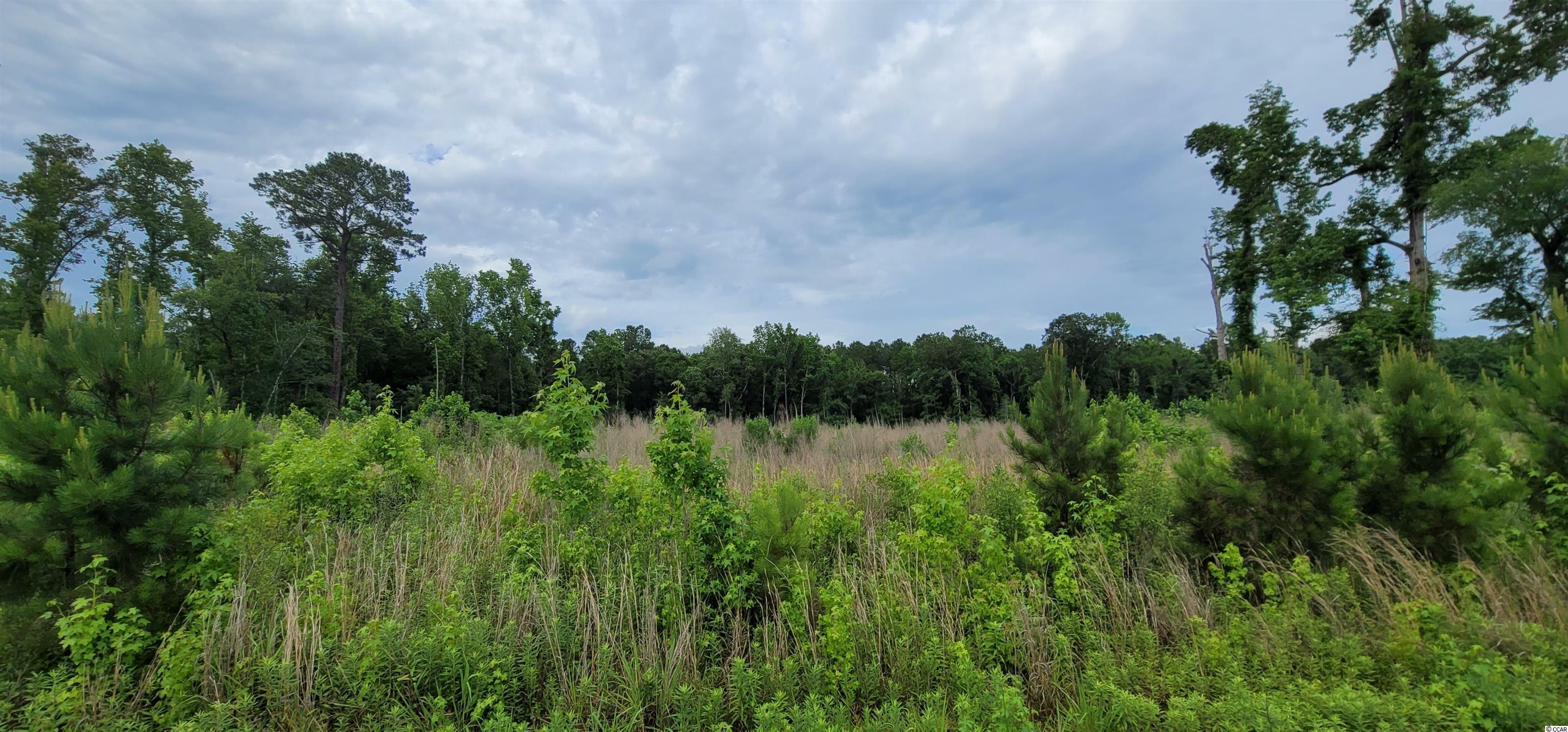 Property Photo:  7400 Pauley Swamp Rd.  SC 29527 