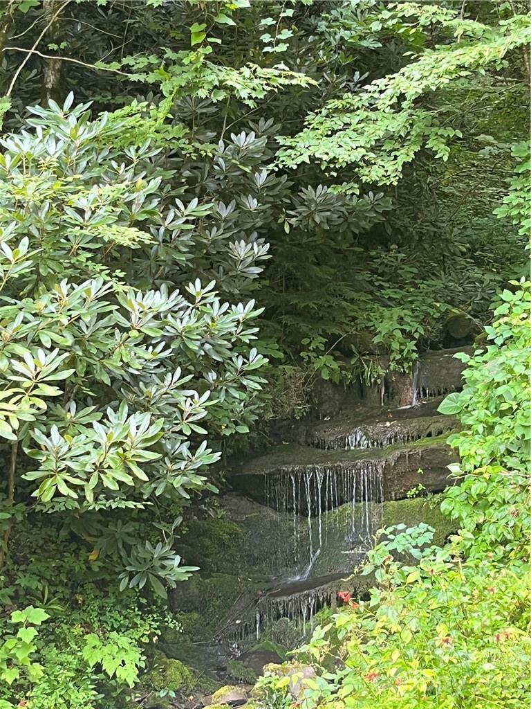 Property Photo: 00 Cowee Mountain Road 86 NC 28713