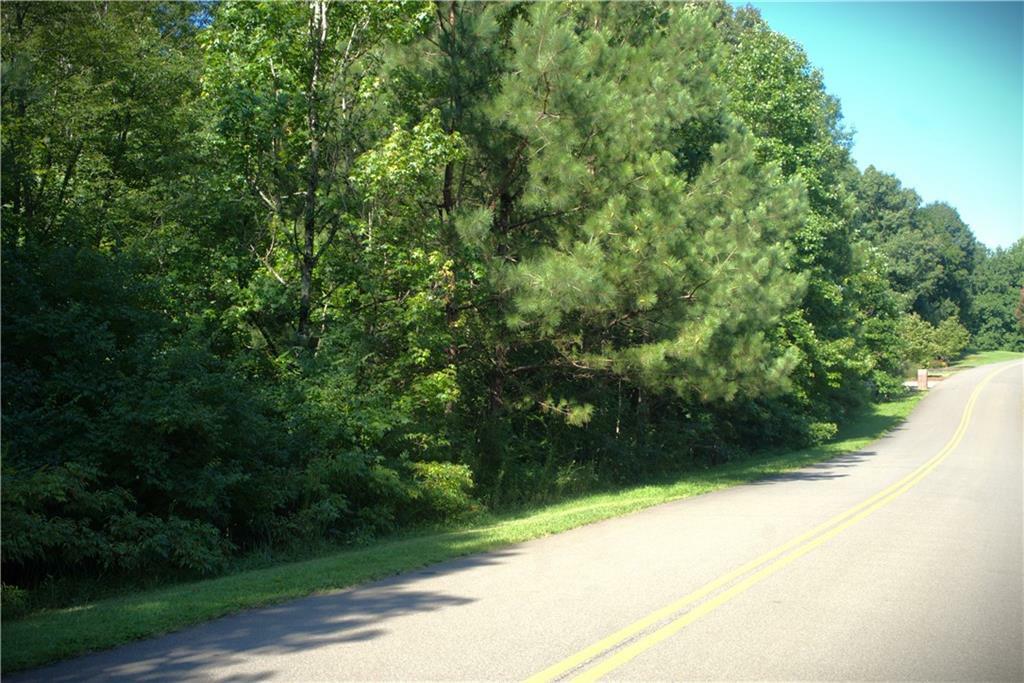 Property Photo:  0 Redfield Way Lot 223 Way  GA 30143 