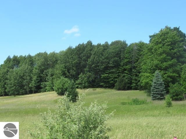 Property Photo:  Lot #4 2.03 A E Lincoln Road Use 7651 E Lincoln Rd For Gps  MI 49621 