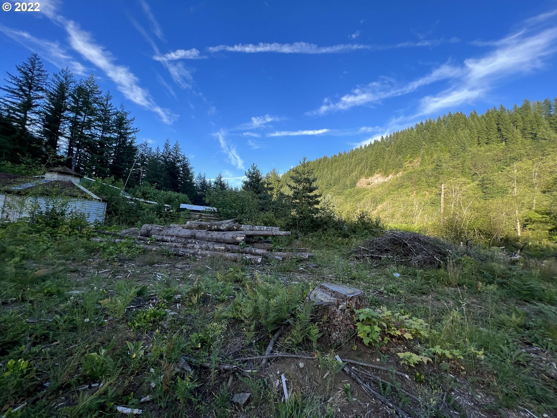 Property Photo:  Washougal River Rd  WA 98671 