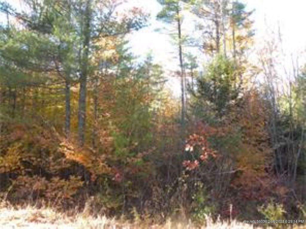 Property Photo:  0 Tm Wentworth  ME 04027 