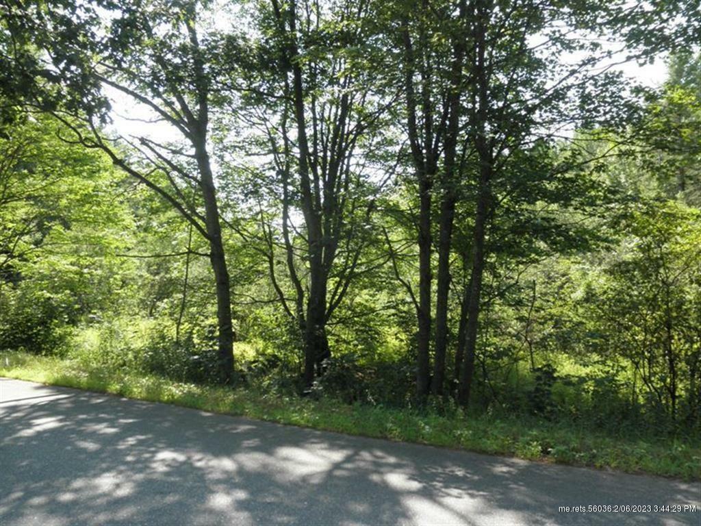 Property Photo:  183 No Name Road  ME 04240 
