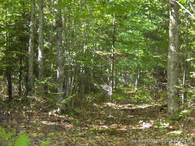 Property Photo:  Lot 10-D Ladd Road  ME 04963 