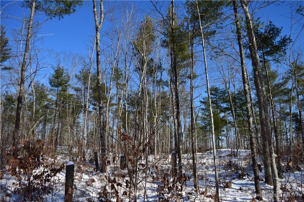 Property Photo: 0 Middle Road/Rt 127 ME 04579