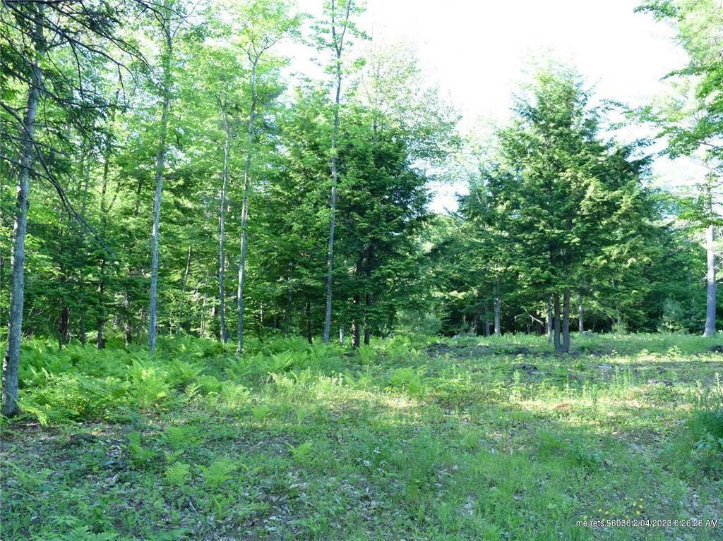 Property Photo:  Lot 3 Sadie Dunn Road  ME 04352 