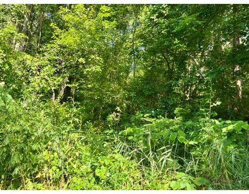 Property Photo: 125 Chilson Rd MA 01095