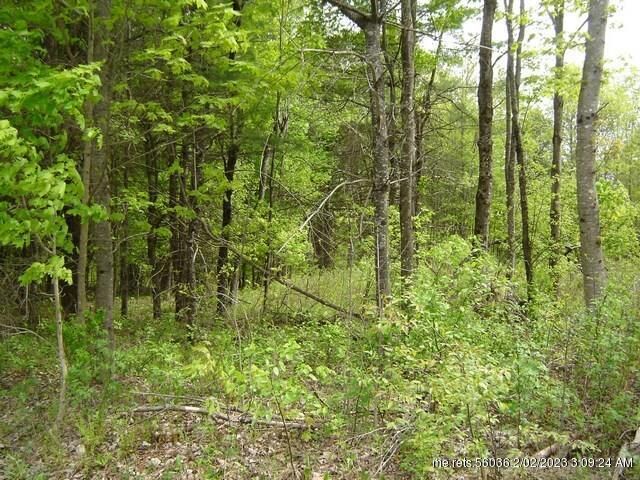 Property Photo:  Lot 4 Cathedral Pines Road  ME 04917 