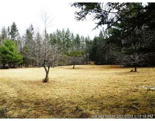 Property Photo:  Lot 35 Glass Hill Road  ME 04443 