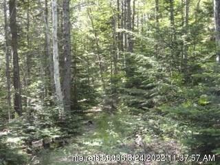 Property Photo:  Lot 3 Sandy Lane  ME 04609 
