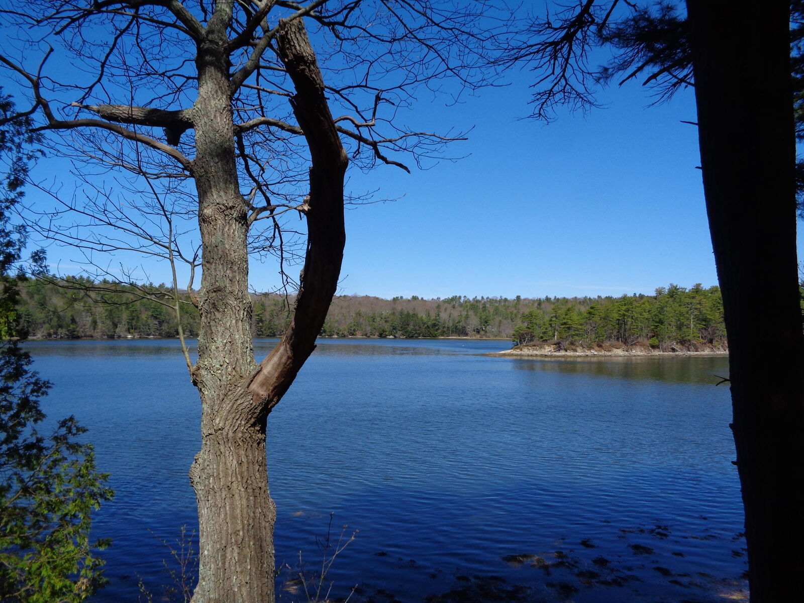 Property Photo:  18 Shaw Road  ME 04578 