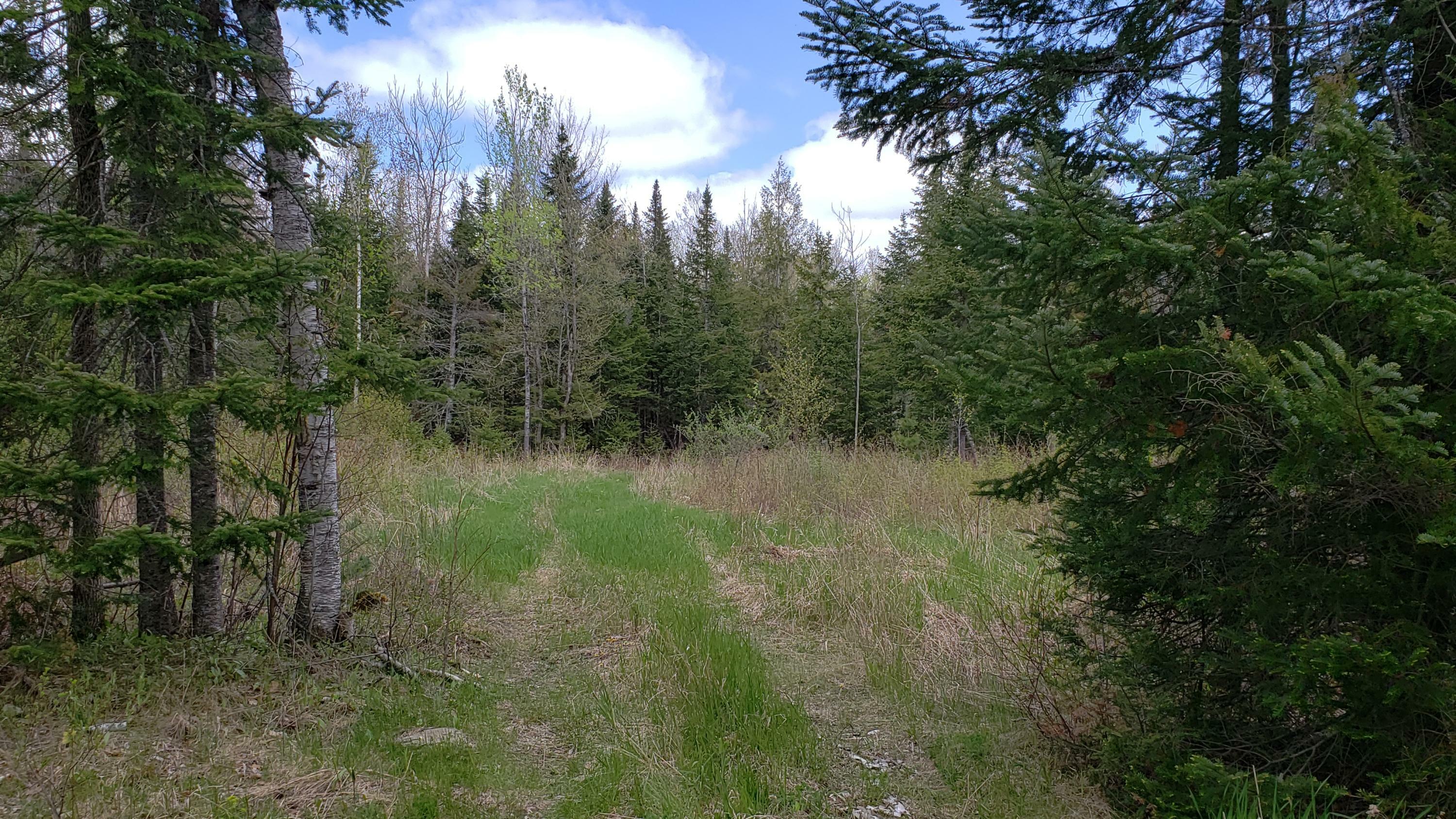 Property Photo:  24 McIntosh Avenue  ME 04456 