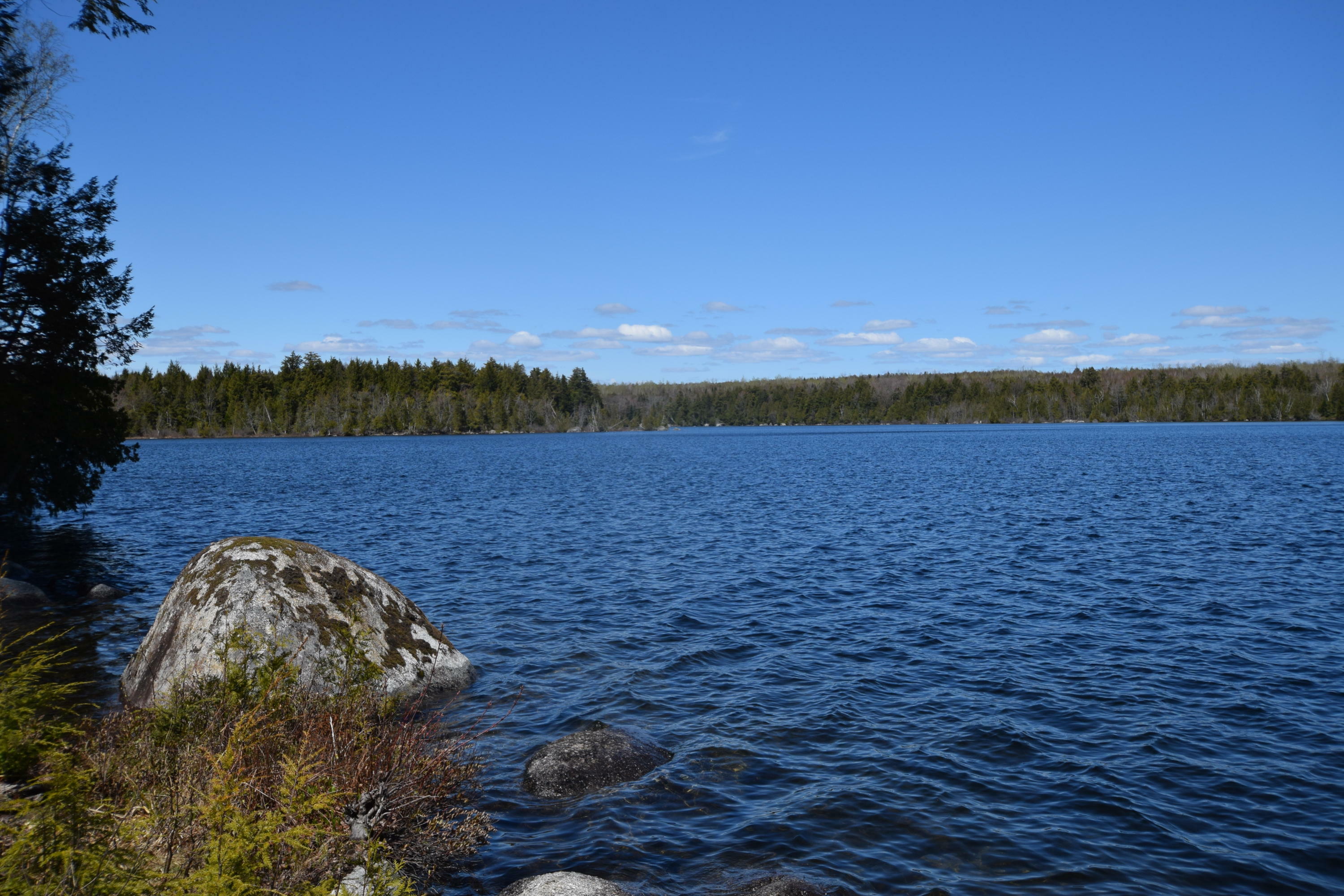 Property Photo:  592 Lot#17 Little River Cove Road  ME 04424 