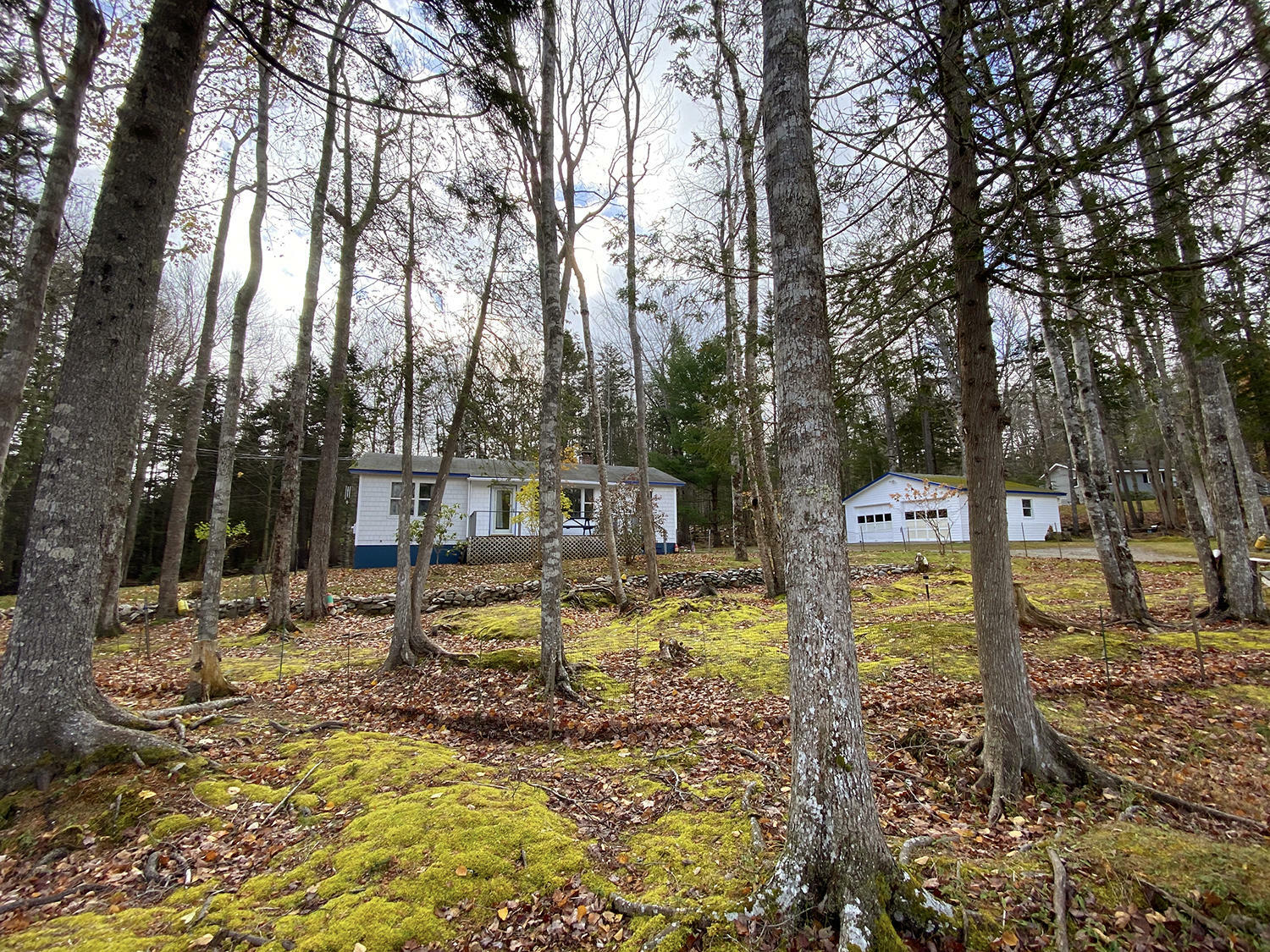 Property Photo:  36 E East Ridge Road Road  ME 04679 