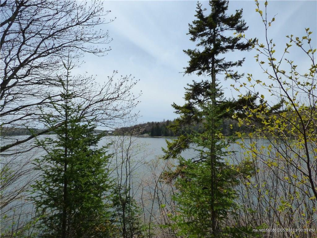 Property Photo:  148 Patten Point Road  ME 04859 