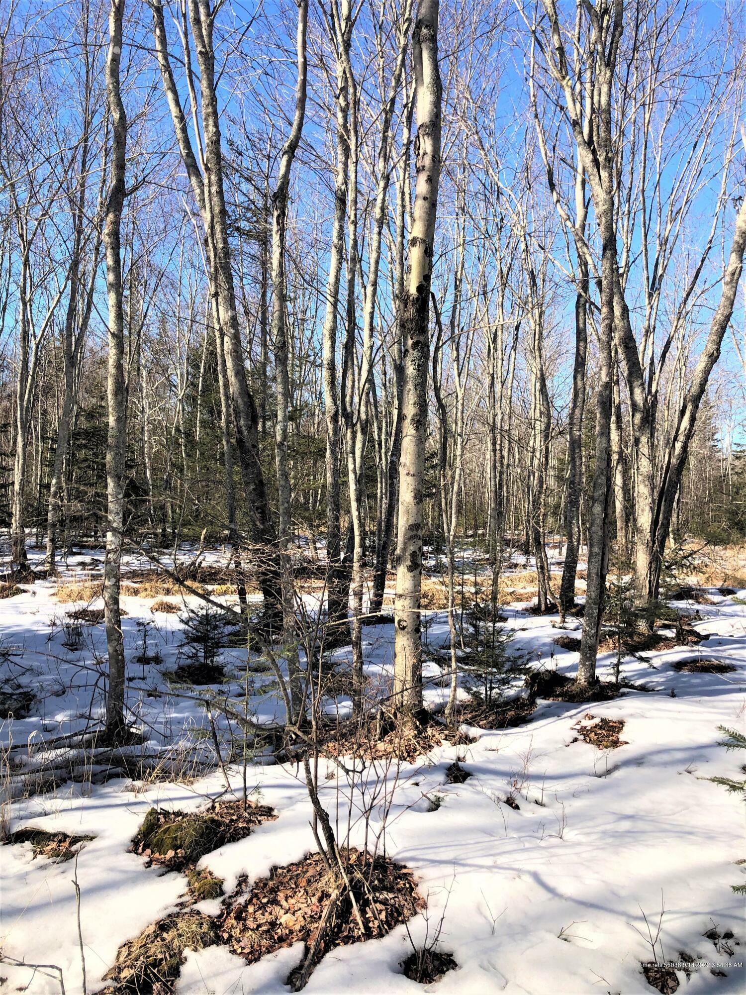 Property Photo:  Lot 48 Heath Road  ME 04654 