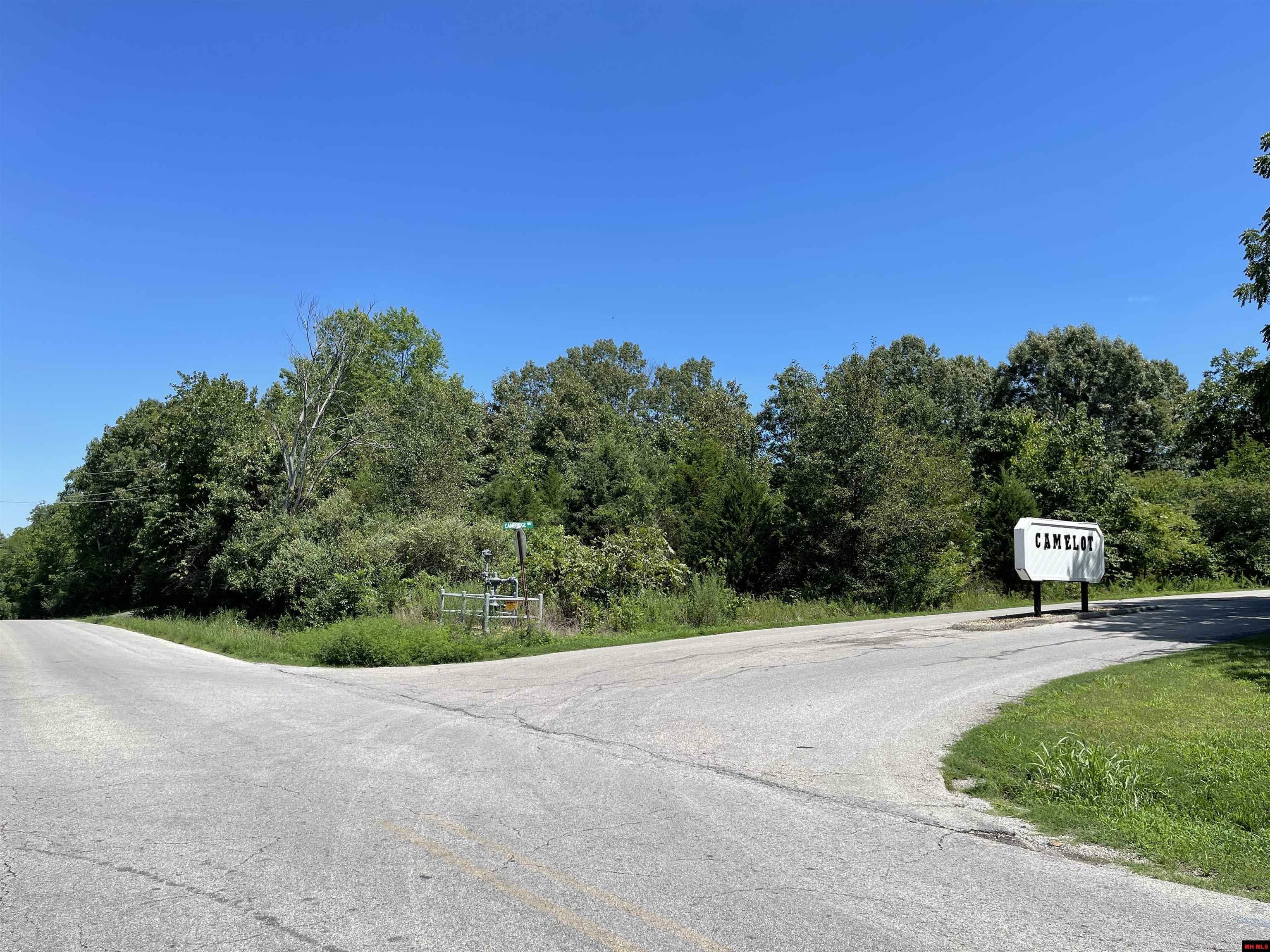 Property Photo: Lot 2 Cambridge Way AR 72653
