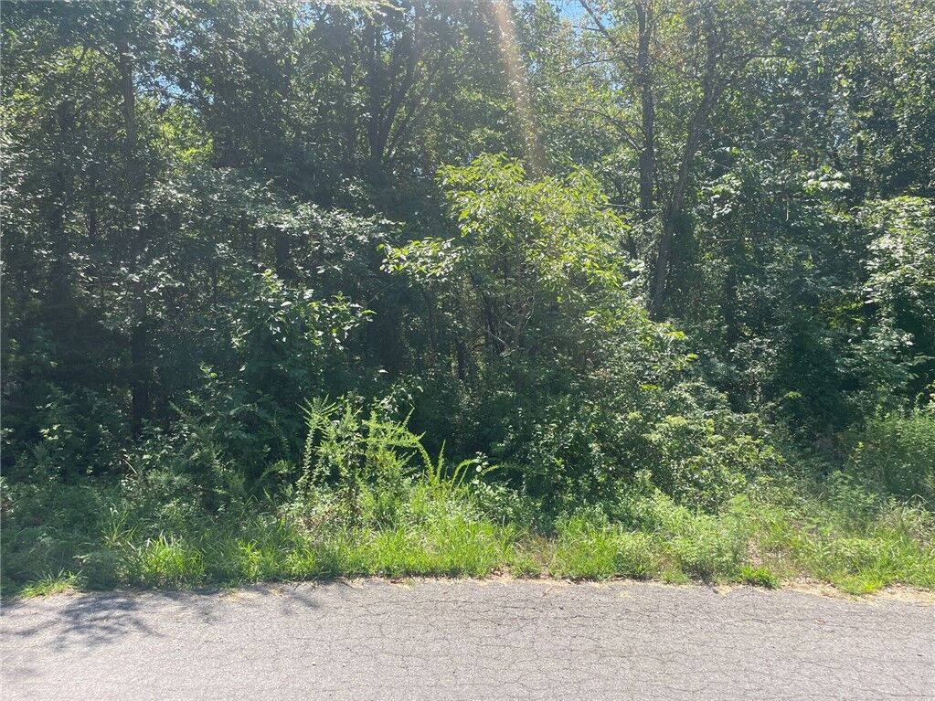 Property Photo: Lot 22 Block 1 Boreland Lane AR 72715