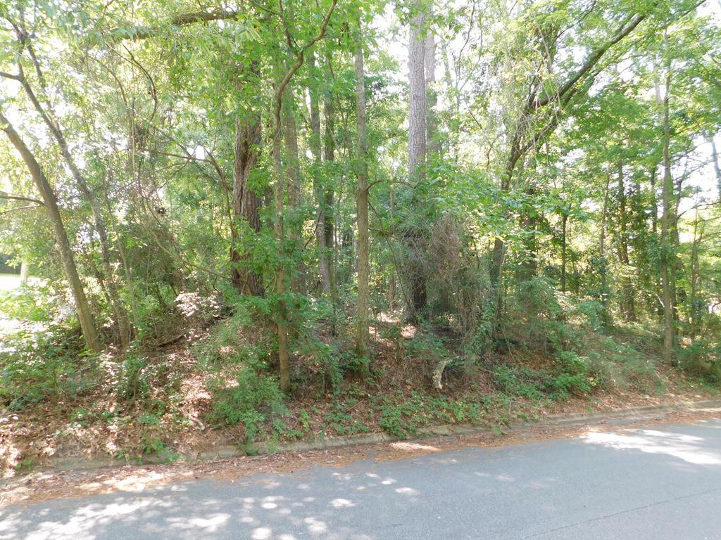 Property Photo:  0 Briar Cliff Dr Lot 1 Blk D  AL 36360 