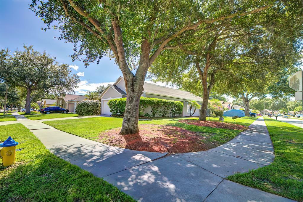Property Photo: 233 Belfort Place FL 33594