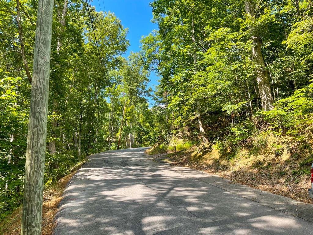 Property Photo:  720 Deer Path Lane  TN 37738 