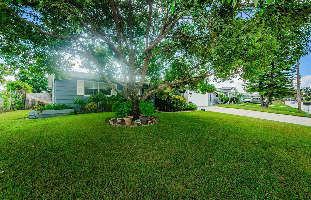 Property Photo:  1446 Russel Lane  FL 34691 