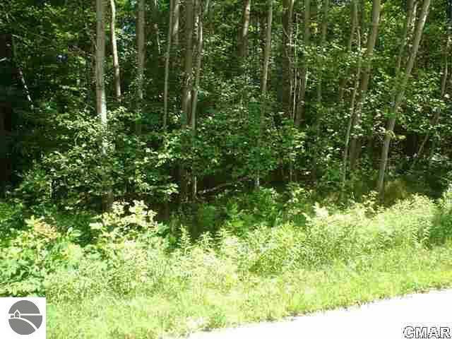 984 Monterrey Trail  Lake Isabella MI 48893 photo