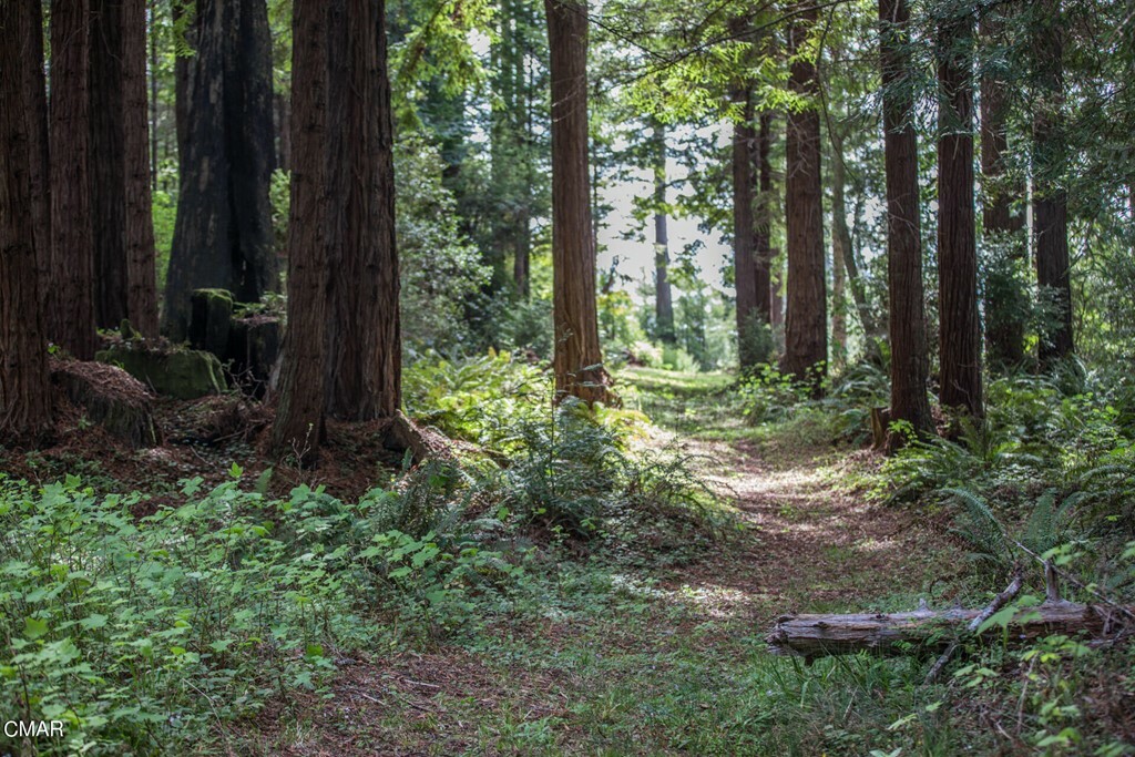 Property Photo:  44825 Jack Peters Creek Road  CA 95460 