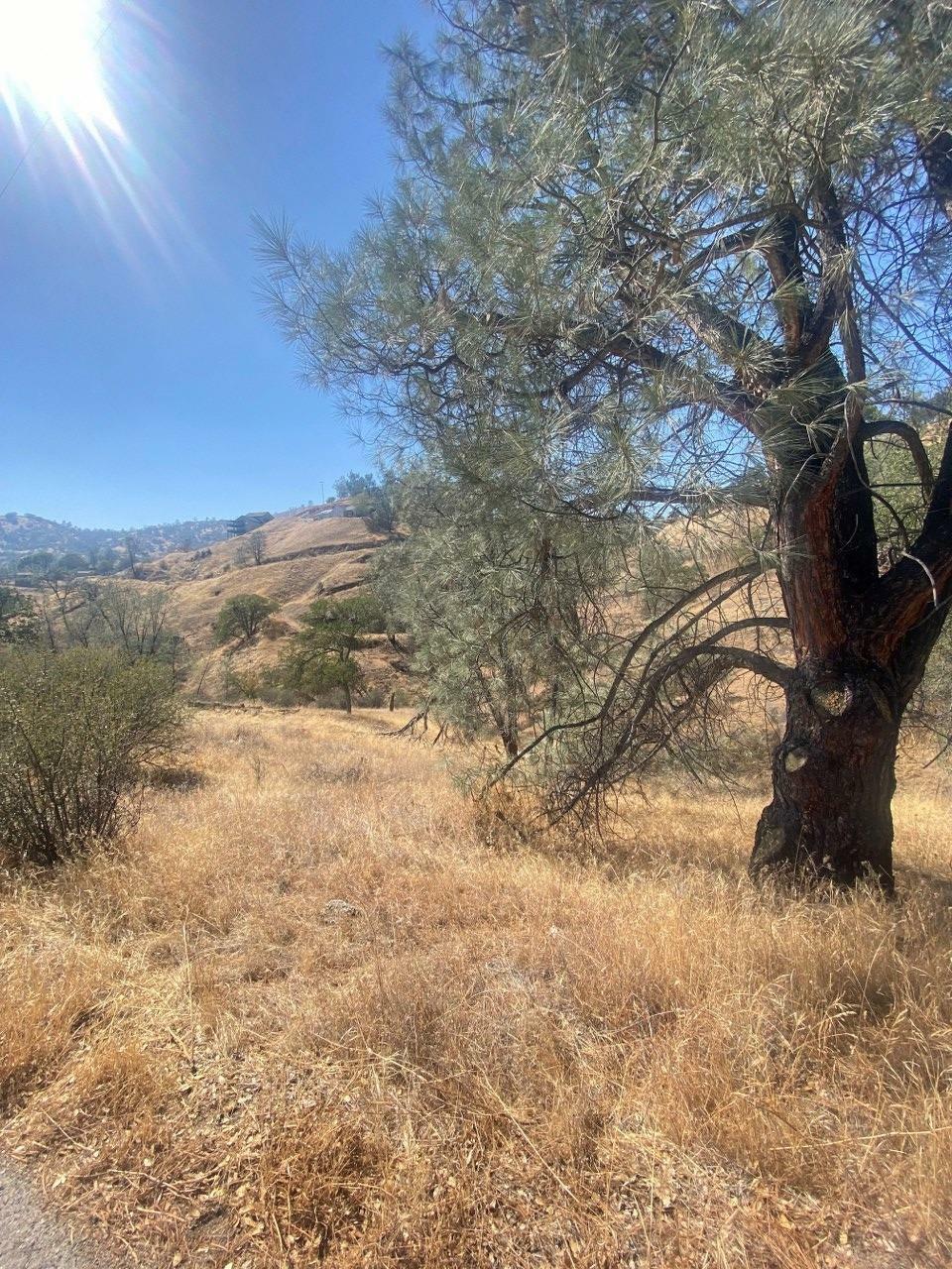 Property Photo:  0 .38 Ac Hidden Lake Boulevard  CA 93626 