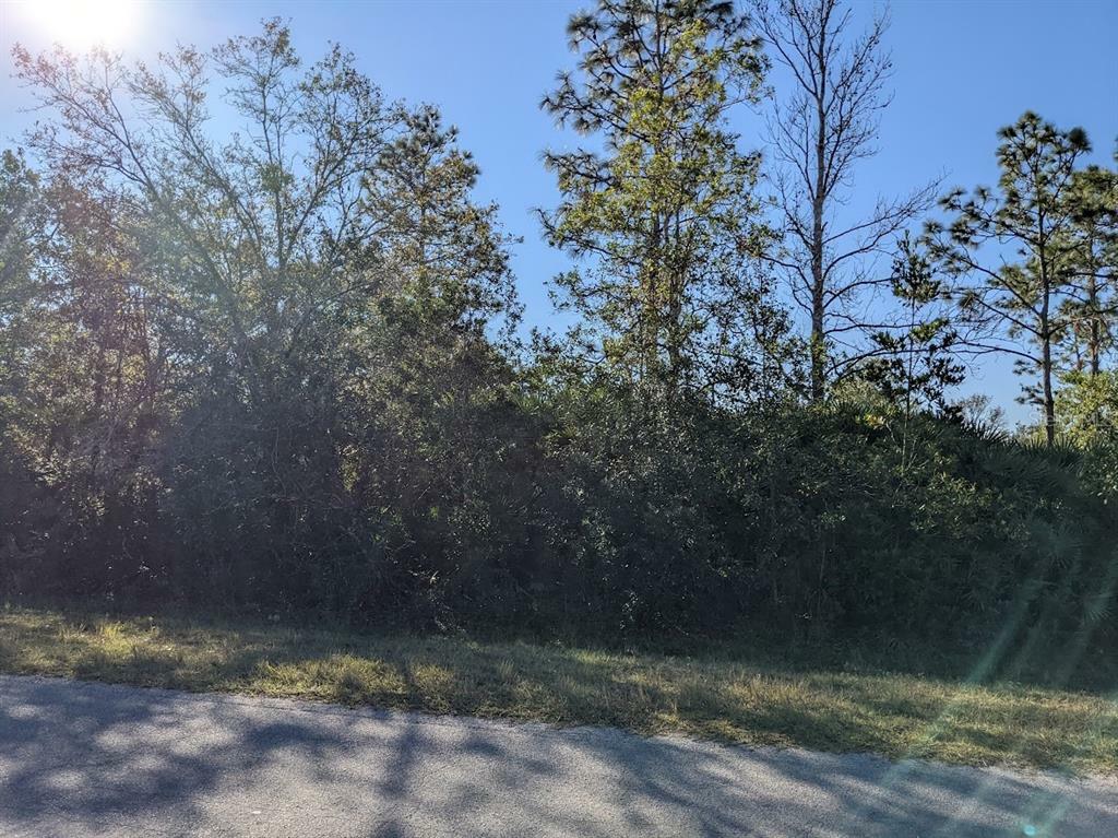 Property Photo: Starry Street Lot 34 FL 32833