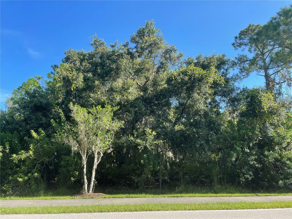 Property Photo:  23148 Elmira Boulevard  FL 33980 