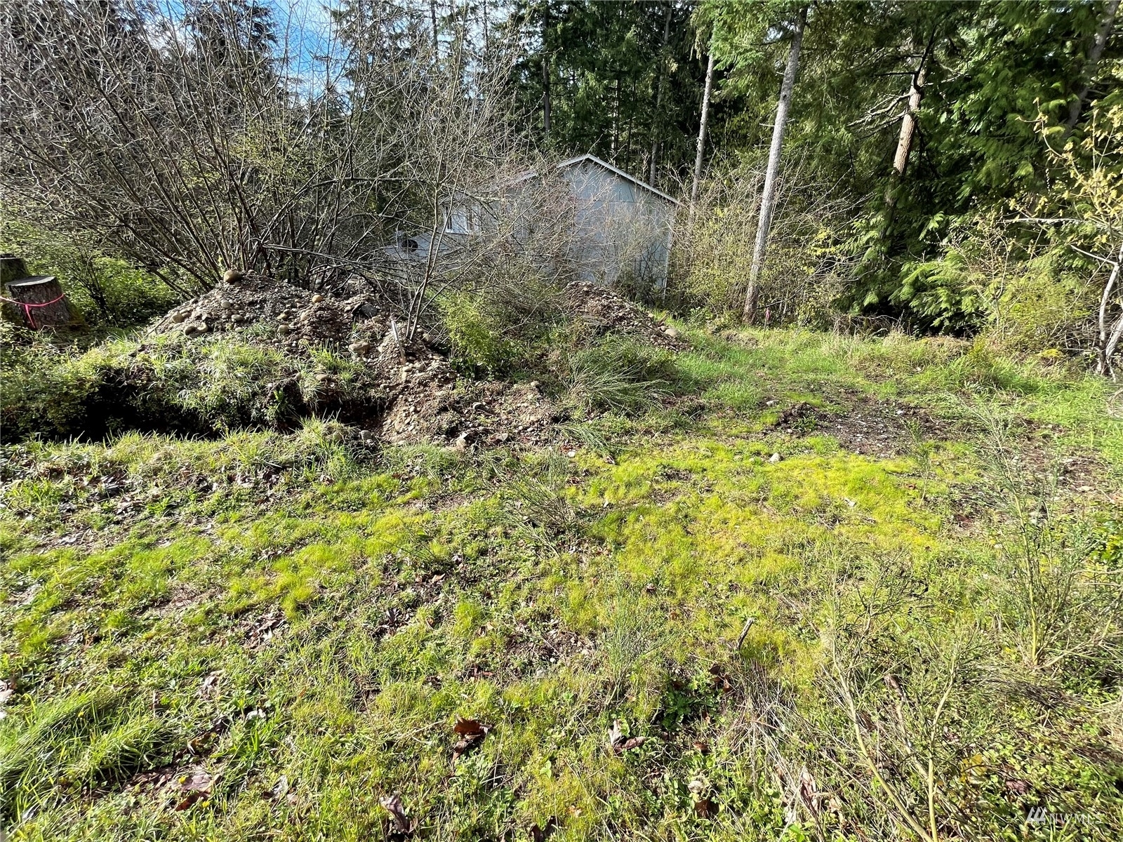 Property Photo:  17905 E Clear Lake Boulevard SE  WA 98597 