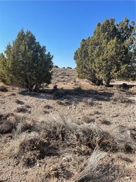 Property Photo:  591 East 295th South Street  NV 89301 