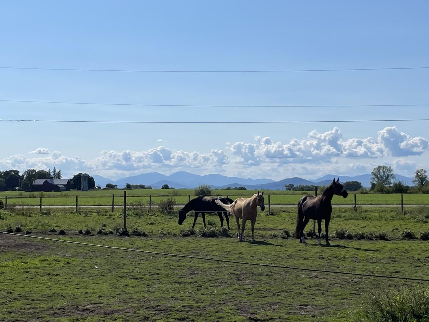 Property Photo: 1067 Greenbush Road VT 05445