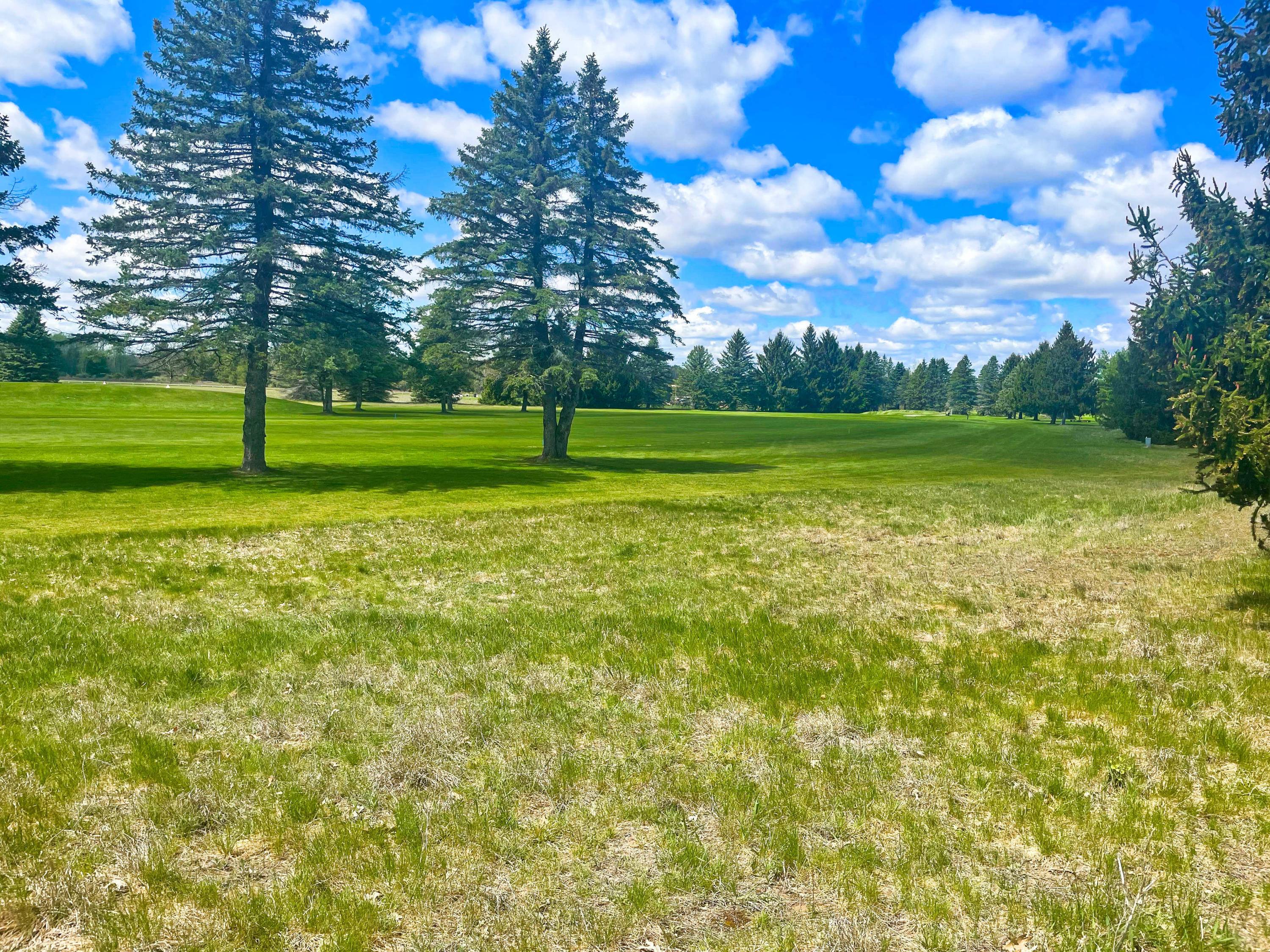 Property Photo:  7237 Ryans Run Road  MI 49346 