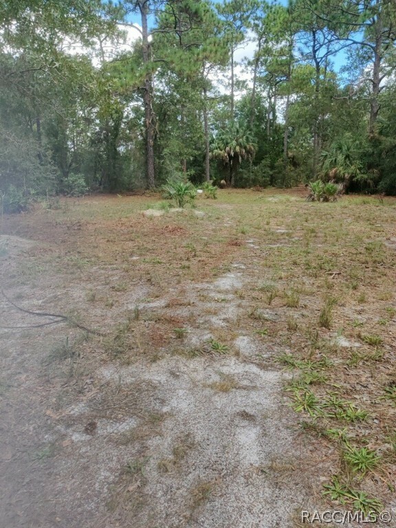 8023 Drover Street  Homosassa FL 34446 photo