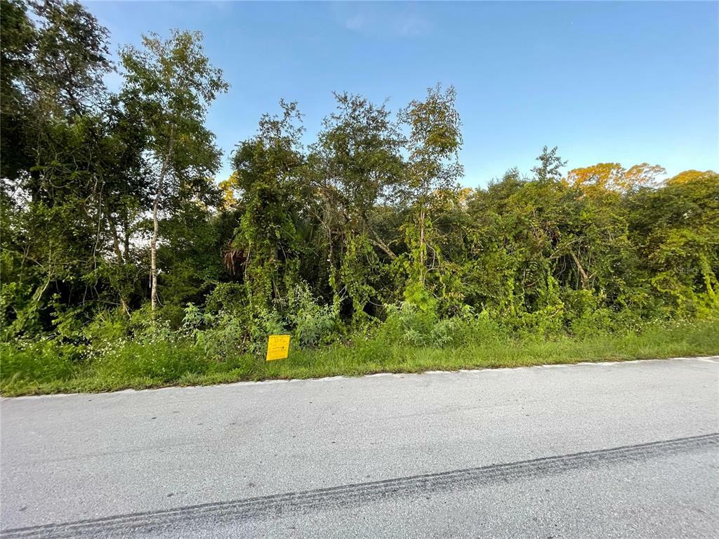Property Photo: Hillside Drive FL 32720