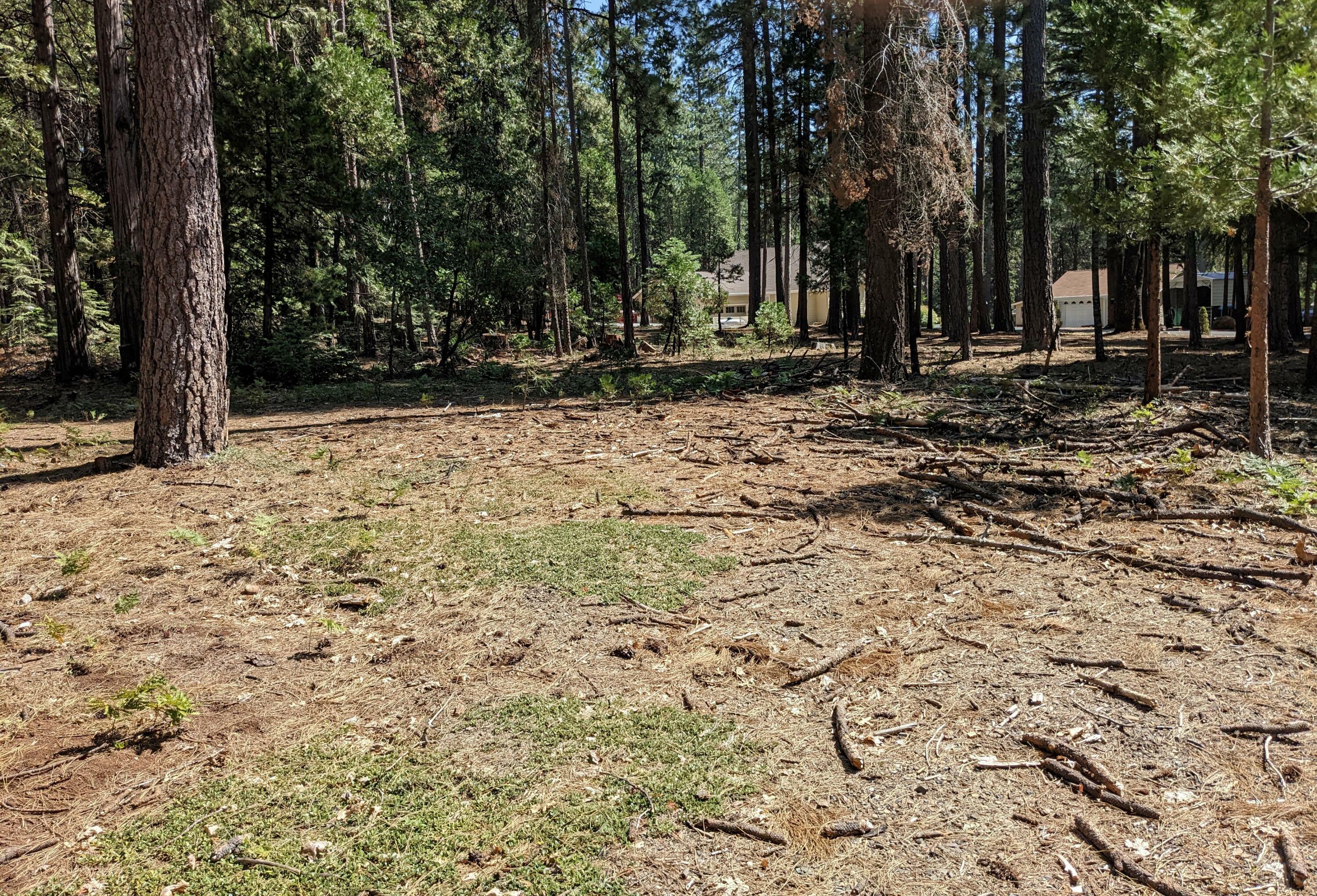 Property Photo:  Lot 18 Whispering Creek Ct.  CA 96088 