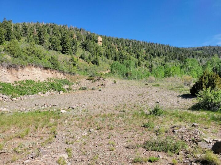 Property Photo:  Braffits Creek Lot 61&62  UT 84719 