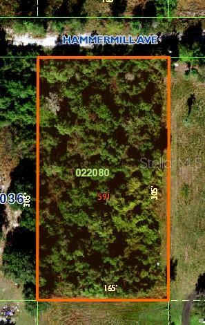 Property Photo: 0 Hammermill Avenue 80 FL 33859