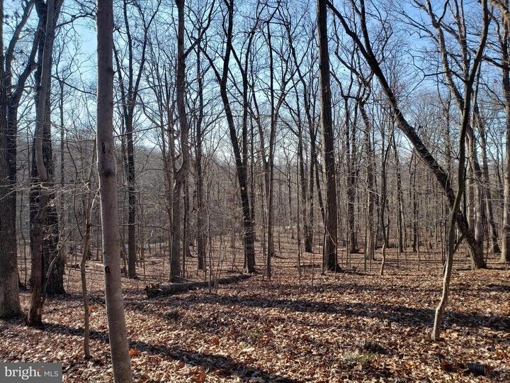 Balsam Ln  Bluemont VA 20135 photo