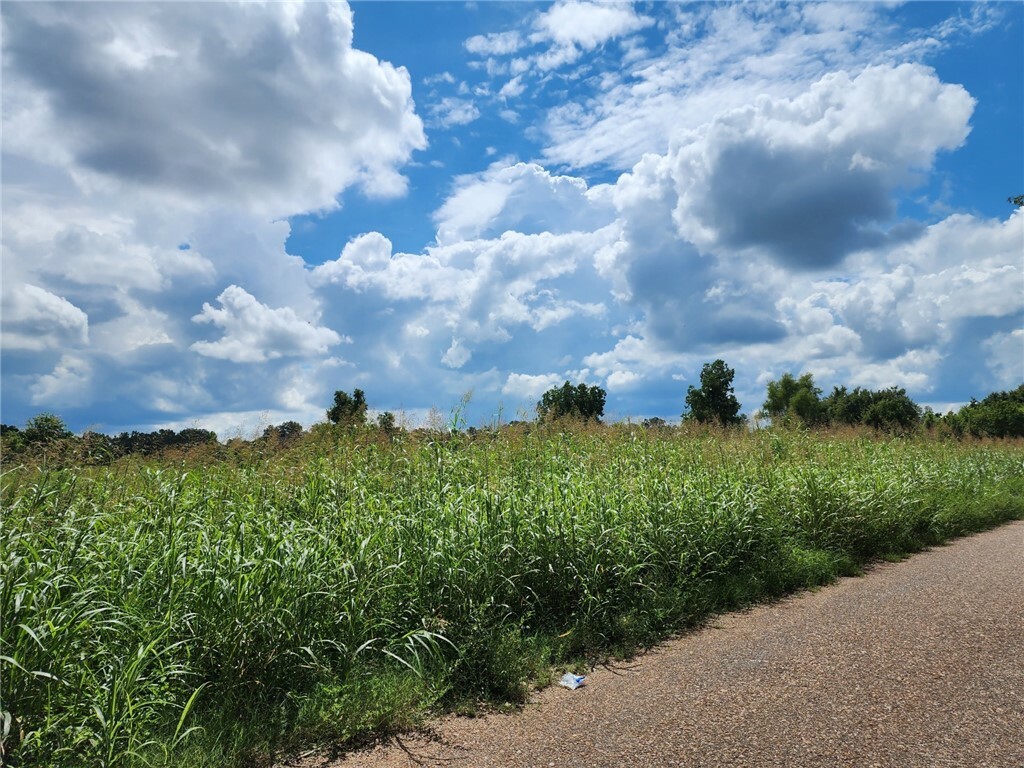 Property Photo: Tbd Old River Road LA 71457