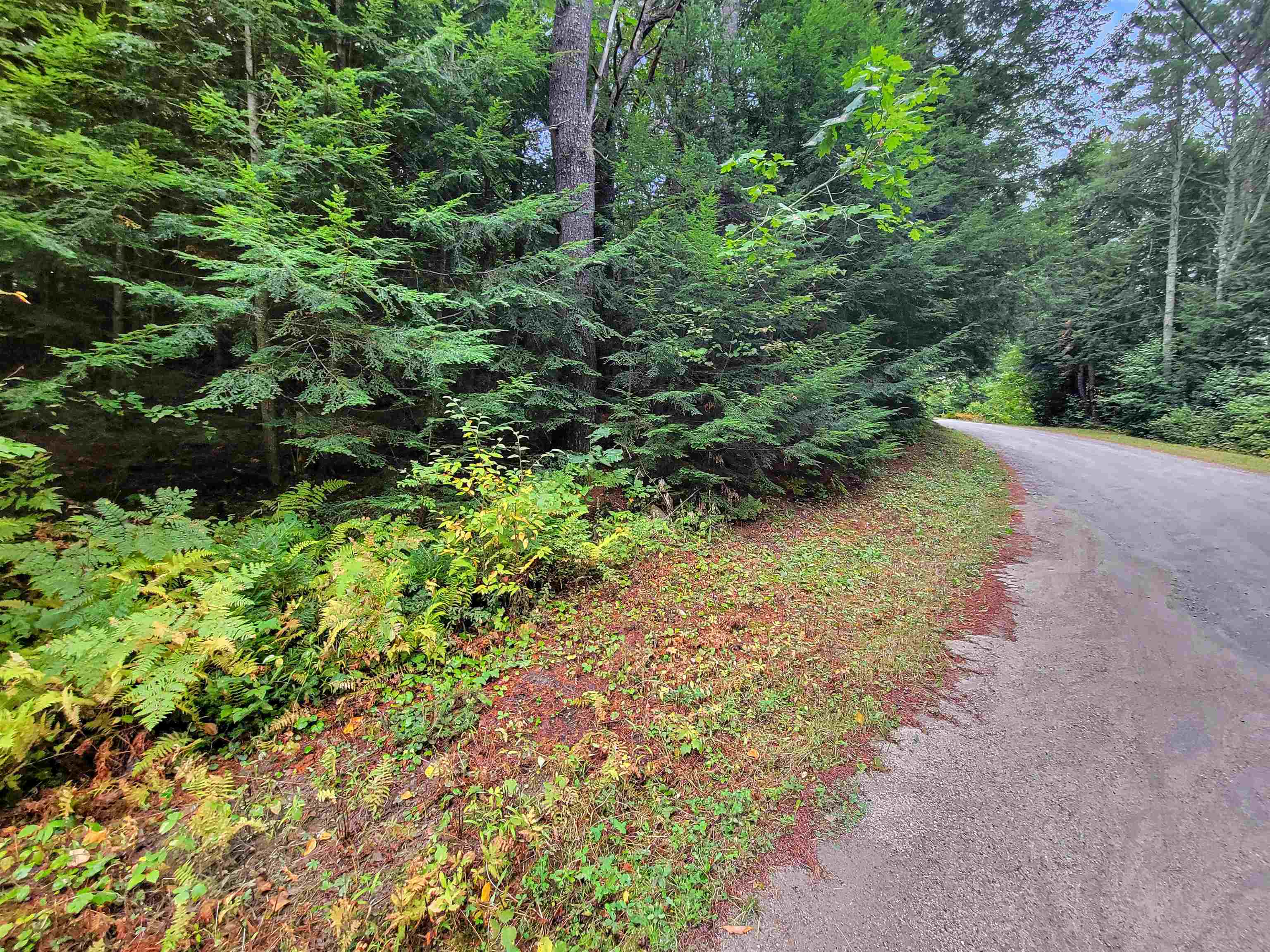 Property Photo: 201-288 White Mountain Road NH 03785