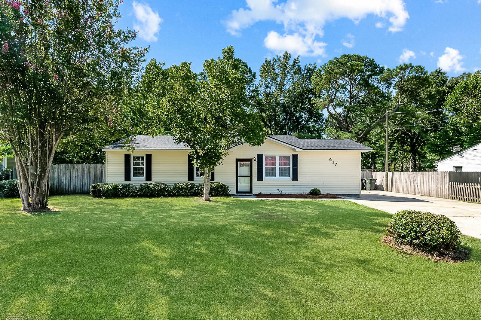 Property Photo:  217 Holly Avenue  SC 29445 