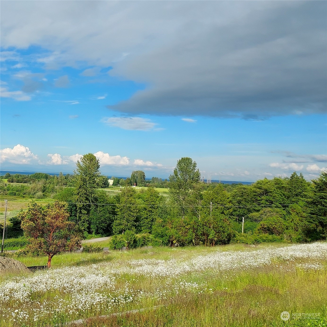 Property Photo: 9999 Moonlight Drive WA 98382