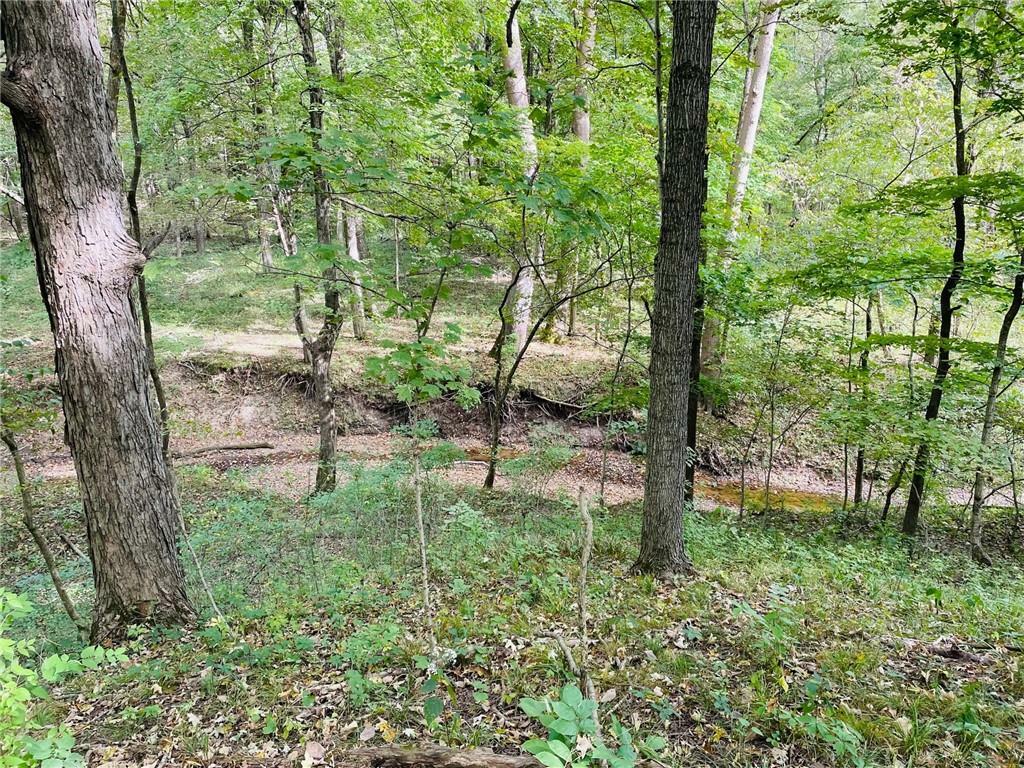 Property Photo:  Lot 4  IL 62458 